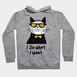 Sassy Cat Swagger - Funny cat Hoodie